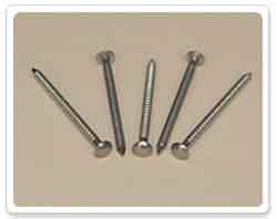 Oval Head Ring Shank Stainless Steel Nail
